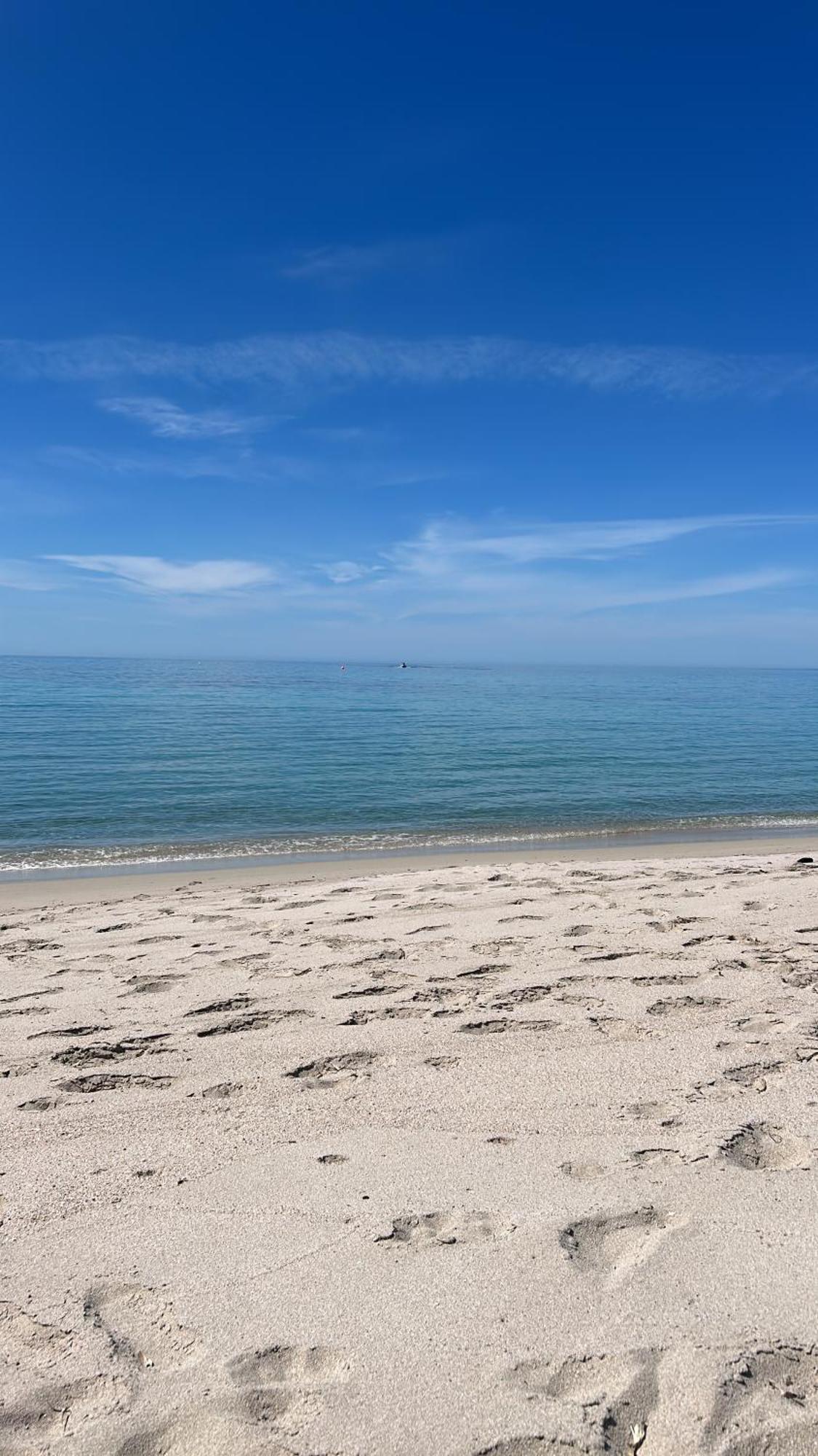 Duplex F4 Sanguinaires A 5 Mn De La Plage Ajaccio  Eksteriør bilde
